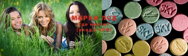 прущий лед Аркадак