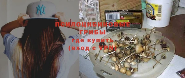 прущий лед Аркадак