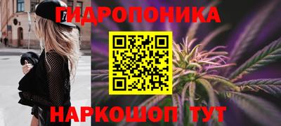 стафф Гулькевичи