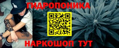 ГАЛЛЮЦИНОГЕННЫЕ ГРИБЫ Вязники