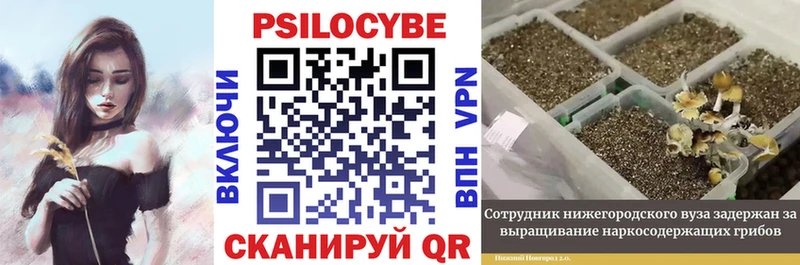 Галлюциногенные грибы мицелий  купить наркотик  Аша 