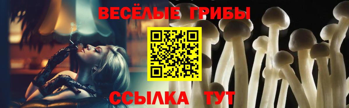 Псилоцибиновые грибы Cubensis Аша