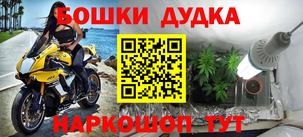 Бошки Шишки MAZAR Аша